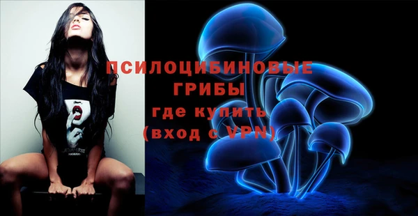 мескалин Ладушкин