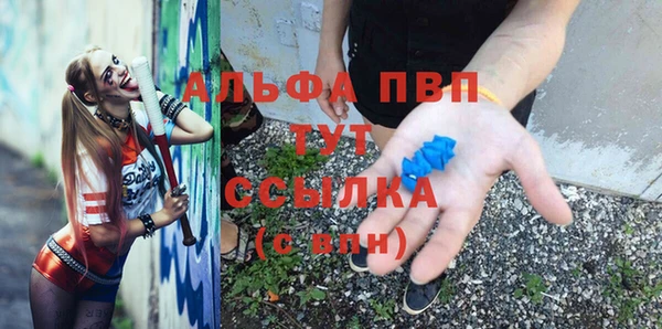 гашик Лабытнанги