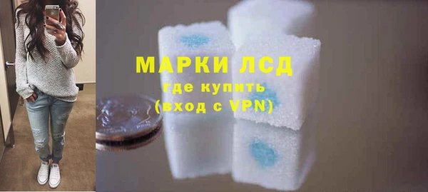 гашик Лабытнанги
