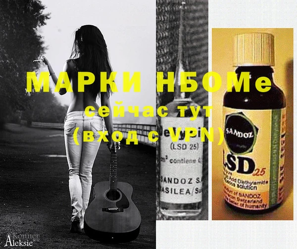 хмурый Нестеровская