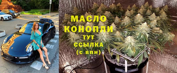 гидра Калининец