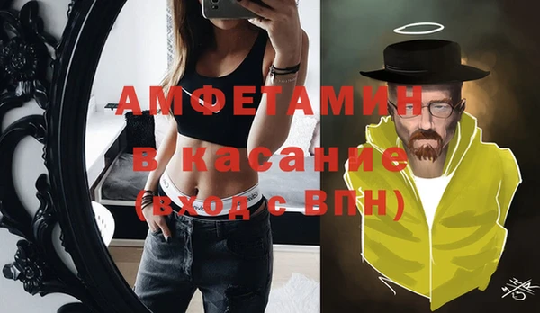 гидра Калининец