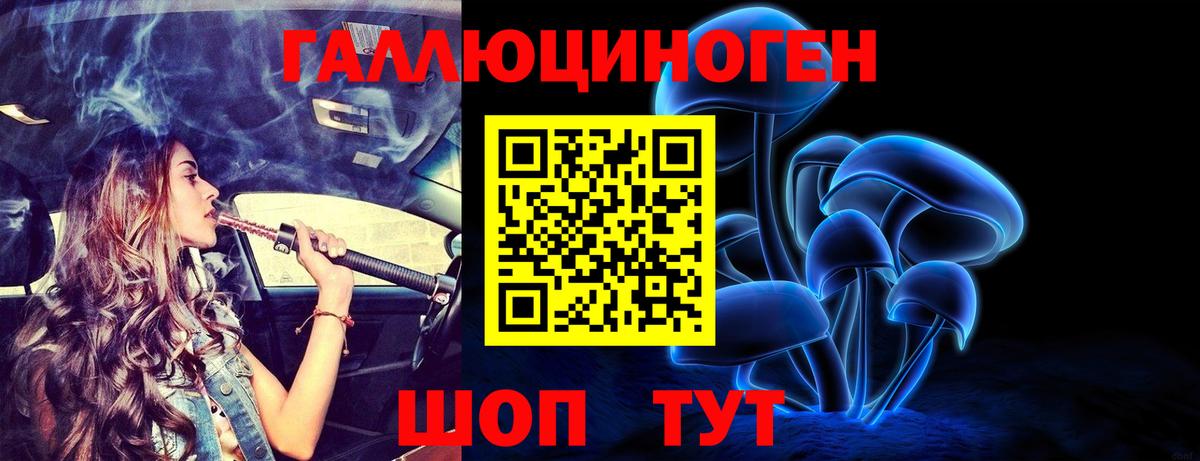 Псилоцибиновые грибы Psilocybe  Вход с VPN  Екатеринбург 